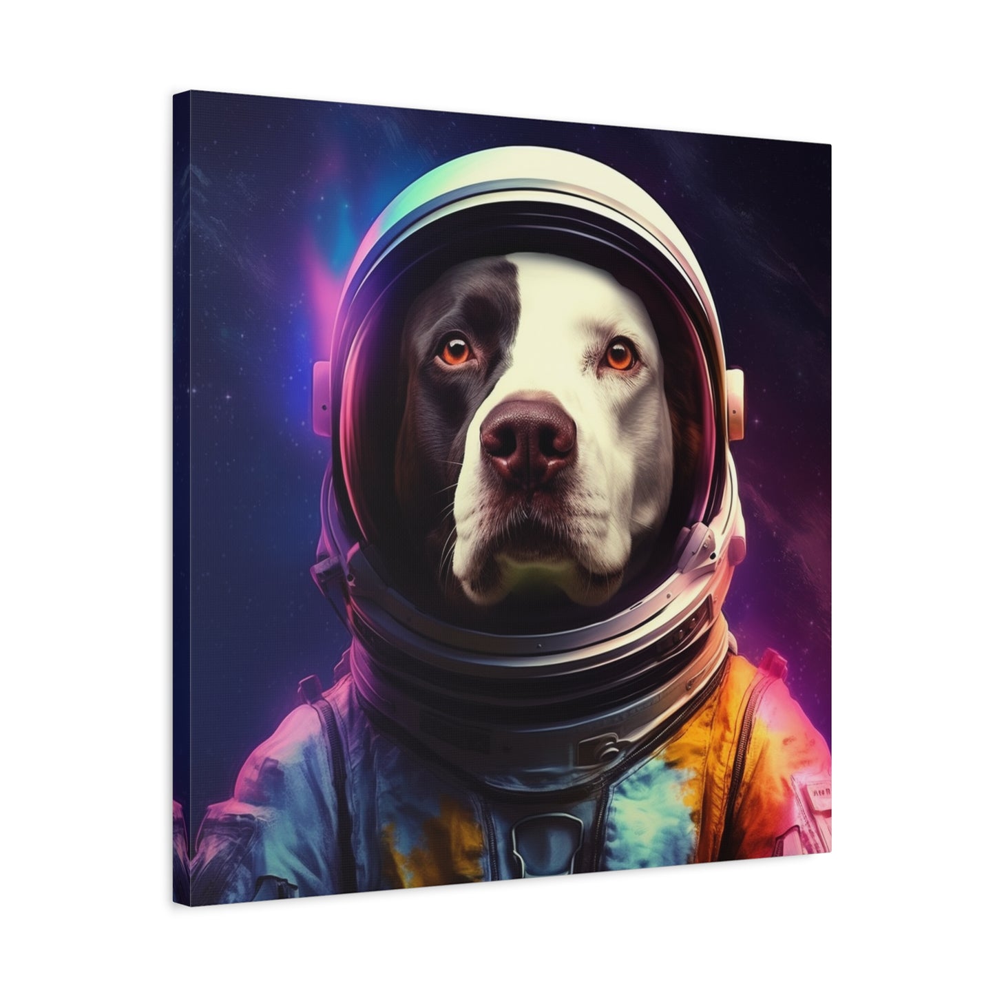 "Space Paws Art" - Framed Canvas Print Colourful Wall Art