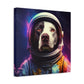 "Space Paws Art" - Framed Canvas Print Colourful Wall Art