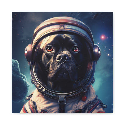 "Paws in Space" - Framed Canvas Print Colourful Wall Art