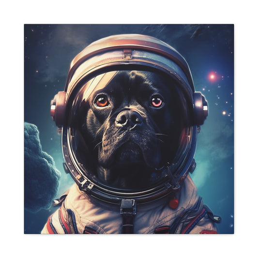 "Paws in Space" - Framed Canvas Print Colourful Wall Art