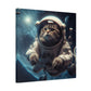 "Space Pet Art" - Framed Canvas Print Colourful Wall Art